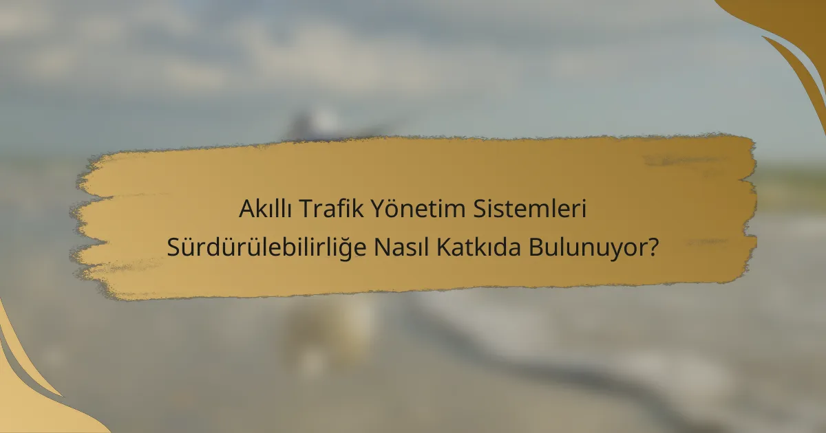 Akıllı Trafik Yönetim Sistemleri Sürdürülebilirliğe Nasıl Katkıda Bulunuyor?