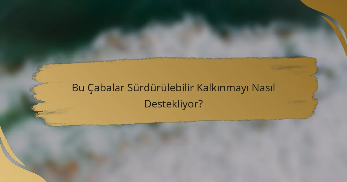 Bu Çabalar Sürdürülebilir Kalkınmayı Nasıl Destekliyor?