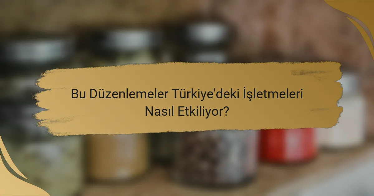 Bu Düzenlemeler Türkiye'deki İşletmeleri Nasıl Etkiliyor?