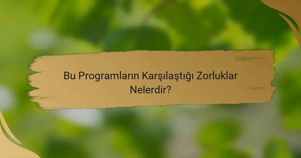 Bu Programların Karşılaştığı Zorluklar Nelerdir?