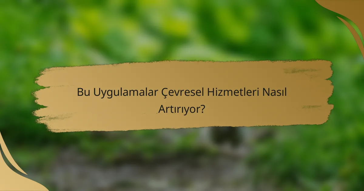 Bu Uygulamalar Çevresel Hizmetleri Nasıl Artırıyor?