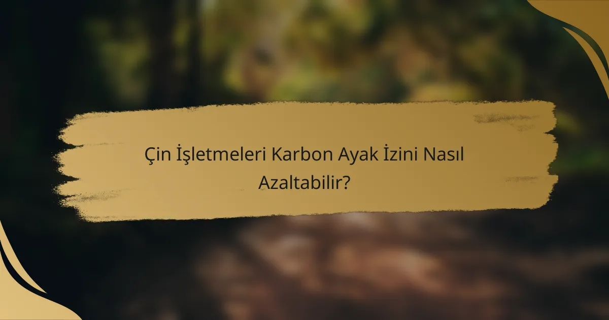 Çin İşletmeleri Karbon Ayak İzini Nasıl Azaltabilir?