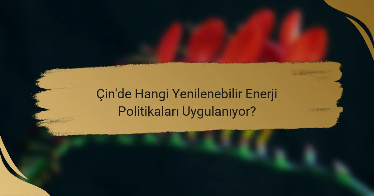 Çin'de Hangi Yenilenebilir Enerji Politikaları Uygulanıyor?