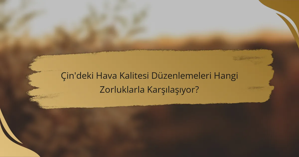 Çin'deki Hava Kalitesi Düzenlemeleri Hangi Zorluklarla Karşılaşıyor?