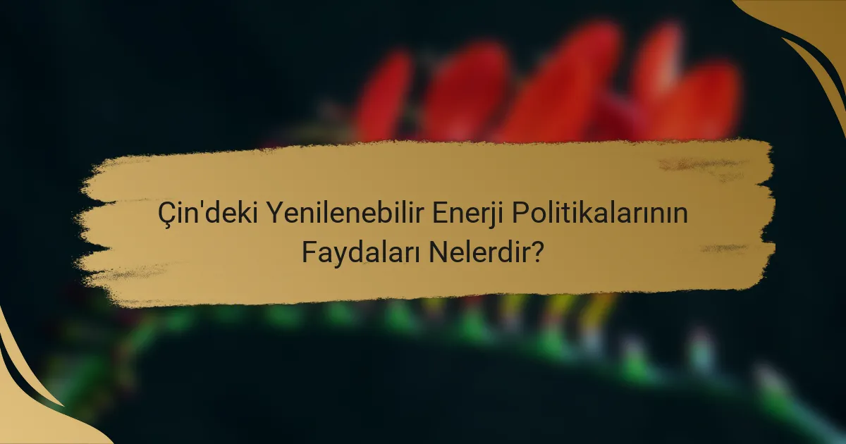 Çin'deki Yenilenebilir Enerji Politikalarının Faydaları Nelerdir?