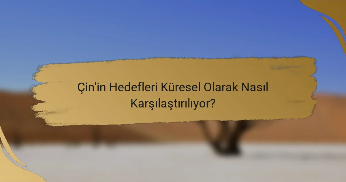 Çin'in Hedefleri Küresel Olarak Nasıl Karşılaştırılıyor?