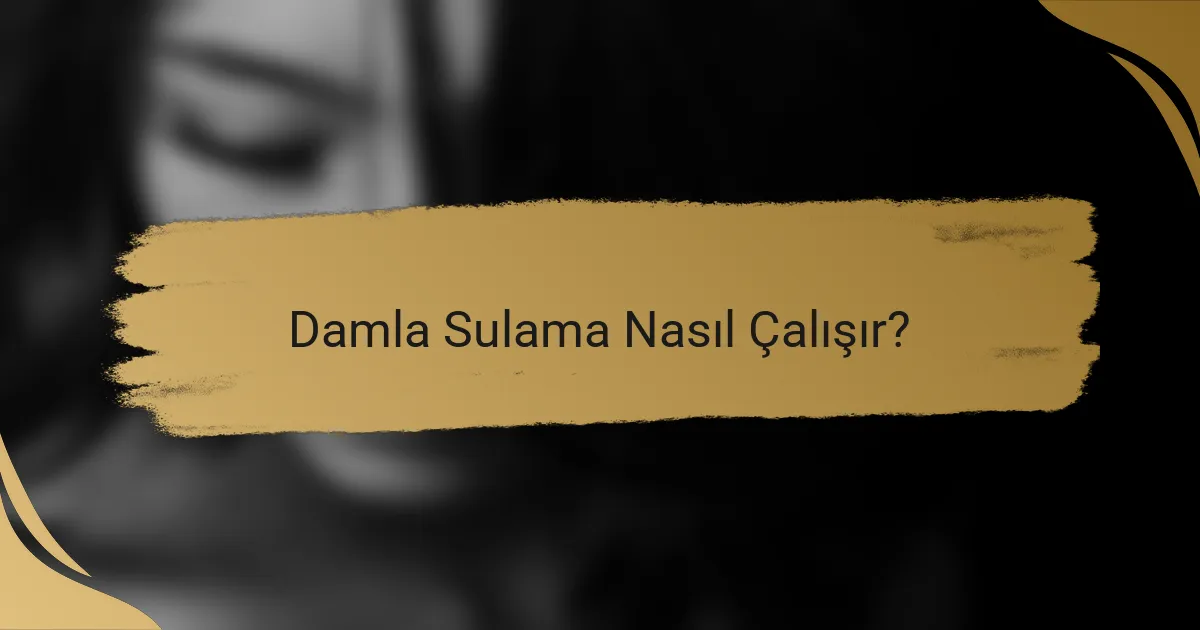 Damla Sulama Nasıl Çalışır?