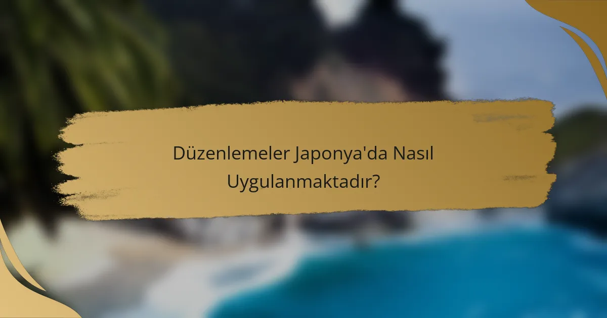 Düzenlemeler Japonya'da Nasıl Uygulanmaktadır?