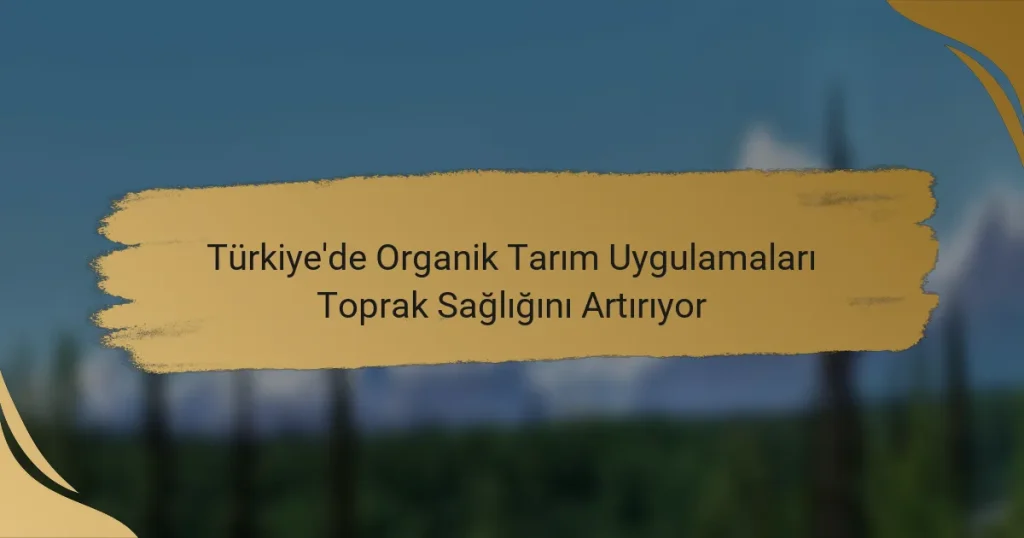 Türkiye’de Organik Tarım Uygulamaları Toprak Sağlığını Artırıyor