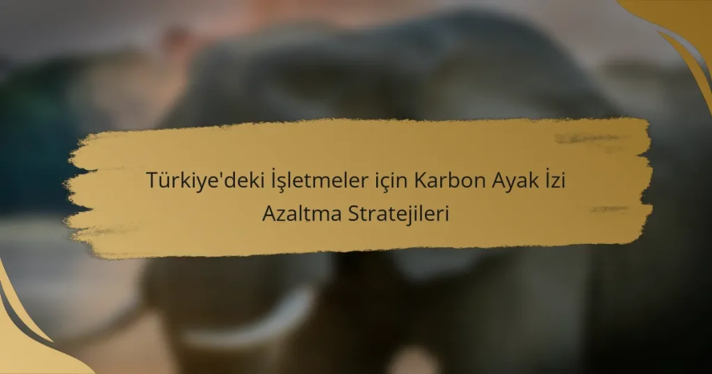 Türkiye’deki İşletmeler için Karbon Ayak İzi Azaltma Stratejileri