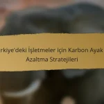 Türkiye’deki İşletmeler için Karbon Ayak İzi Azaltma Stratejileri