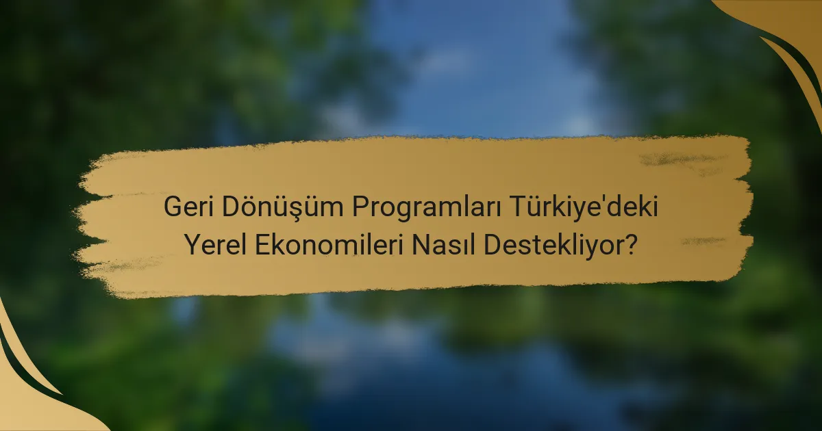 Geri Dönüşüm Programları Türkiye'deki Yerel Ekonomileri Nasıl Destekliyor?