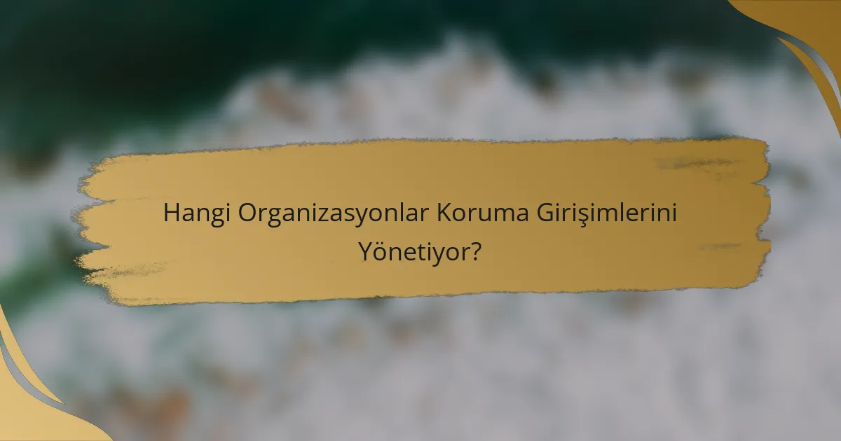 Hangi Organizasyonlar Koruma Girişimlerini Yönetiyor?