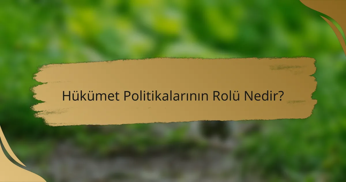 Hükümet Politikalarının Rolü Nedir?