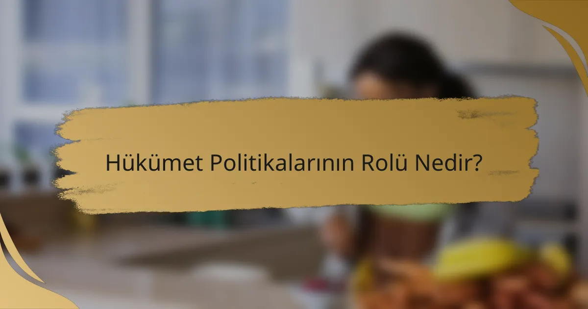 Hükümet Politikalarının Rolü Nedir?