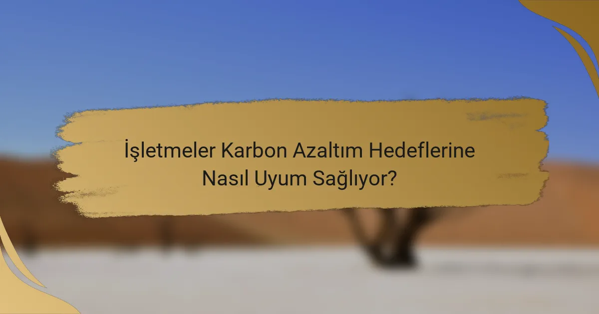 İşletmeler Karbon Azaltım Hedeflerine Nasıl Uyum Sağlıyor?