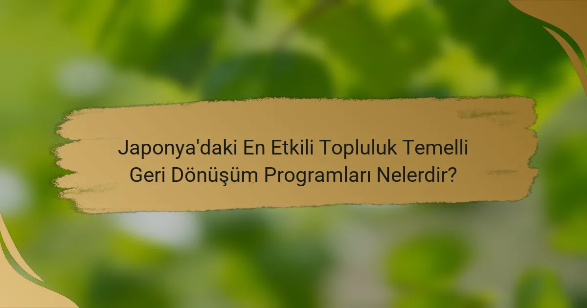 Japonya'daki En Etkili Topluluk Temelli Geri Dönüşüm Programları Nelerdir?