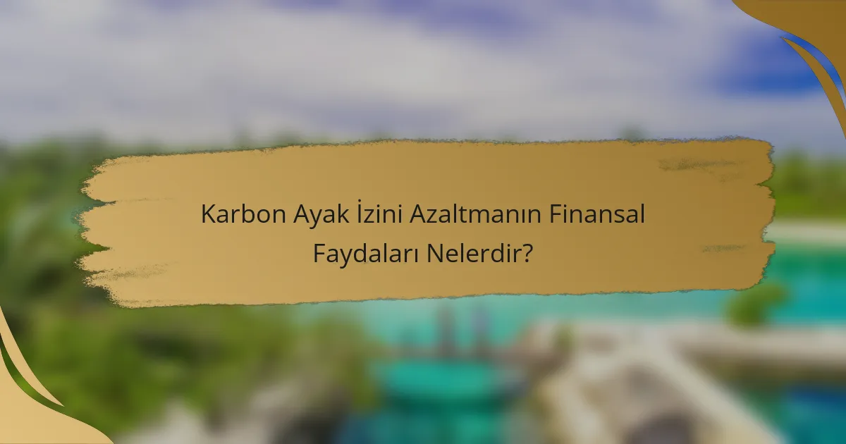 Karbon Ayak İzini Azaltmanın Finansal Faydaları Nelerdir?