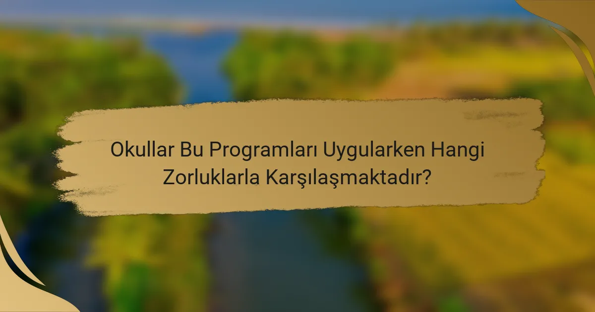 Okullar Bu Programları Uygularken Hangi Zorluklarla Karşılaşmaktadır?