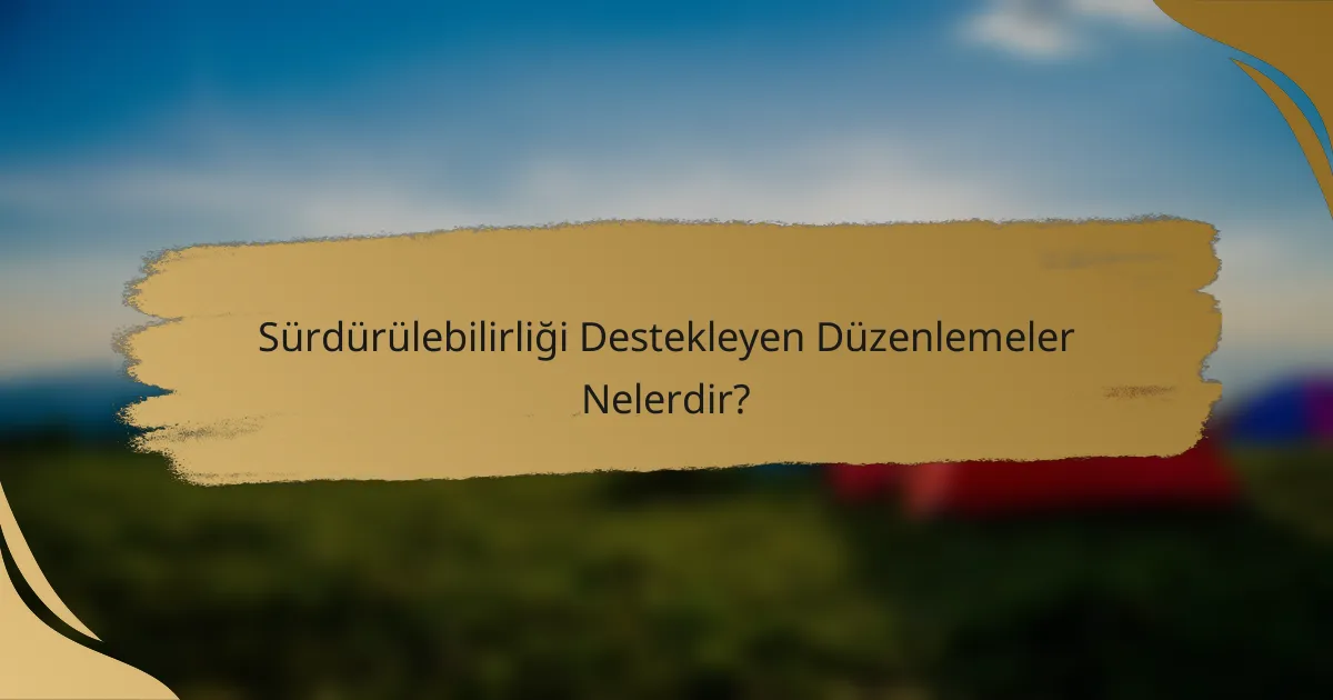 Sürdürülebilirliği Destekleyen Düzenlemeler Nelerdir?