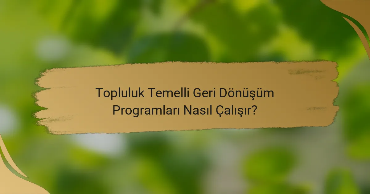 Topluluk Temelli Geri Dönüşüm Programları Nasıl Çalışır?