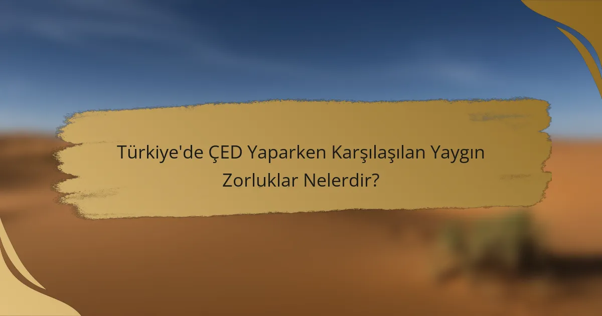 Türkiye'de ÇED Yaparken Karşılaşılan Yaygın Zorluklar Nelerdir?