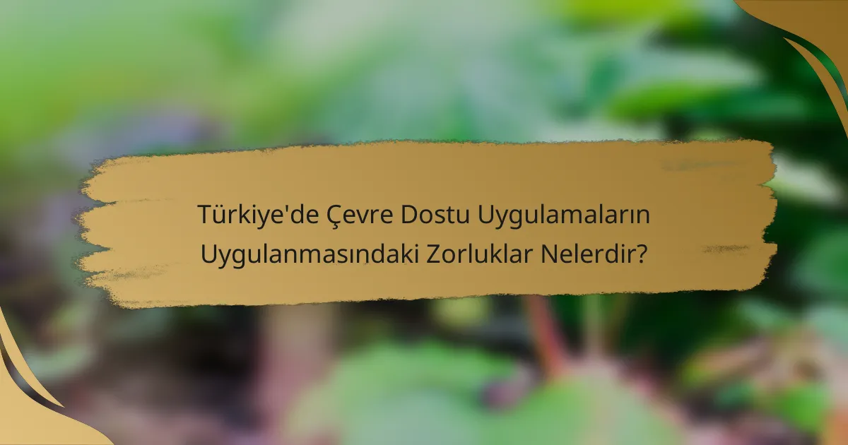 Türkiye'de Çevre Dostu Uygulamaların Uygulanmasındaki Zorluklar Nelerdir?