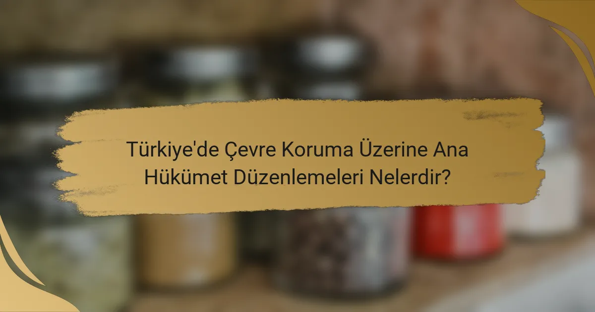 Türkiye'de Çevre Koruma Üzerine Ana Hükümet Düzenlemeleri Nelerdir?