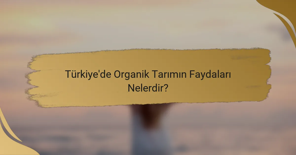 Türkiye'de Organik Tarımın Faydaları Nelerdir?