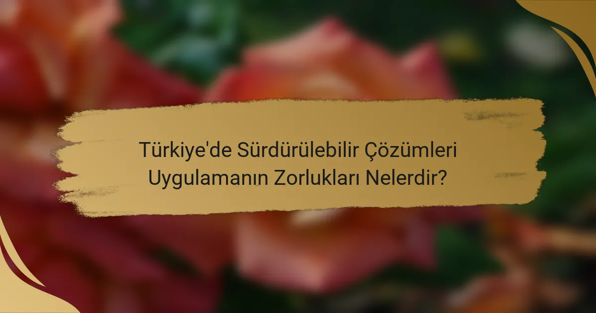 Türkiye'de Sürdürülebilir Çözümleri Uygulamanın Zorlukları Nelerdir?