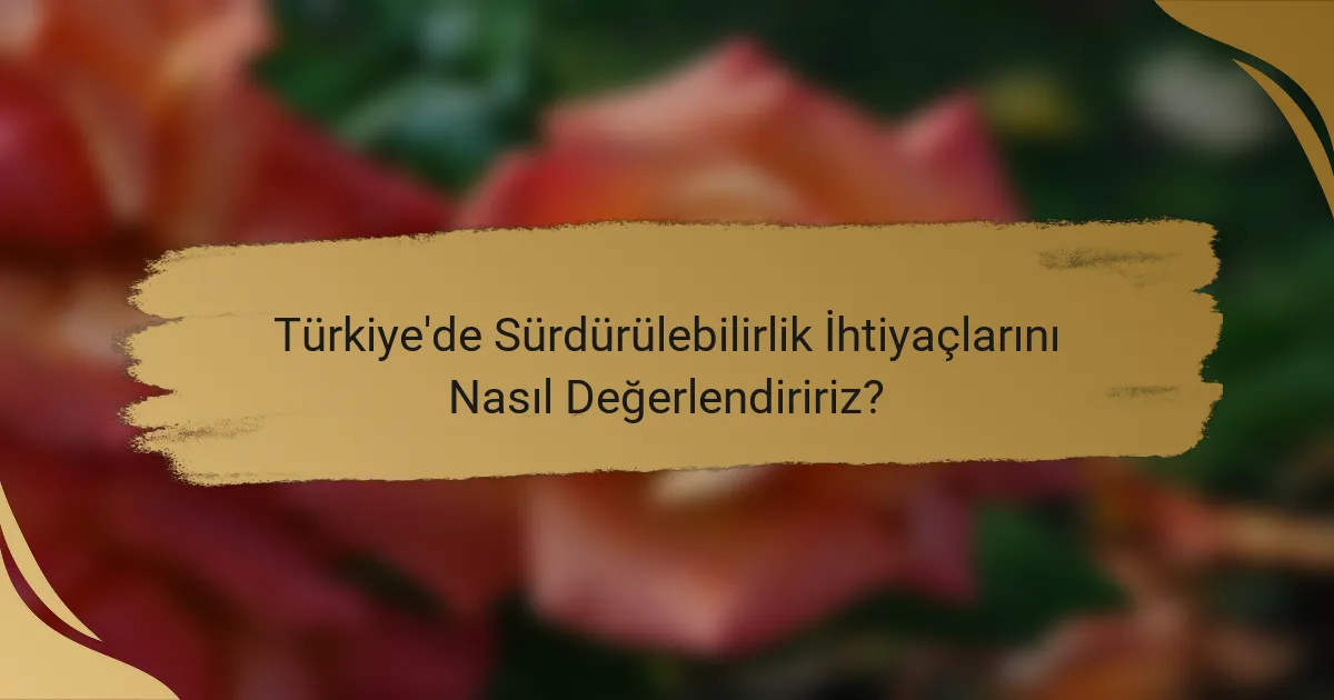 Türkiye'de Sürdürülebilirlik İhtiyaçlarını Nasıl Değerlendiririz?