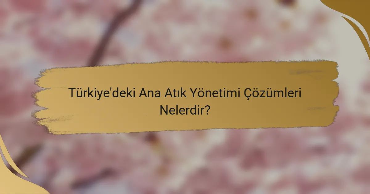 Türkiye'deki Ana Atık Yönetimi Çözümleri Nelerdir?