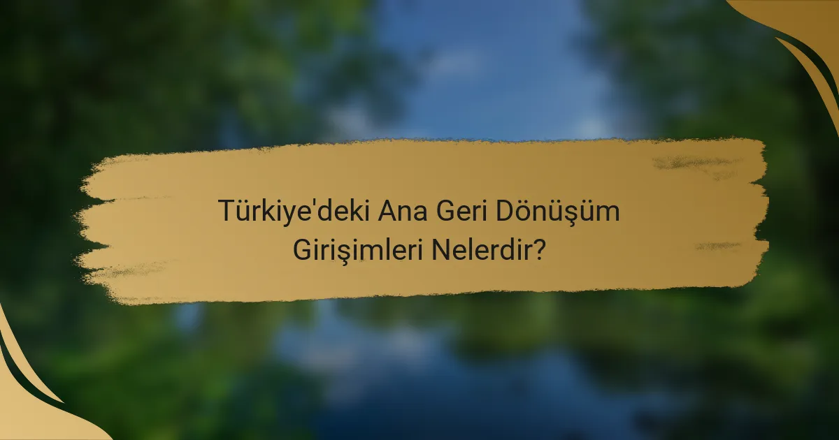 Türkiye'deki Ana Geri Dönüşüm Girişimleri Nelerdir?