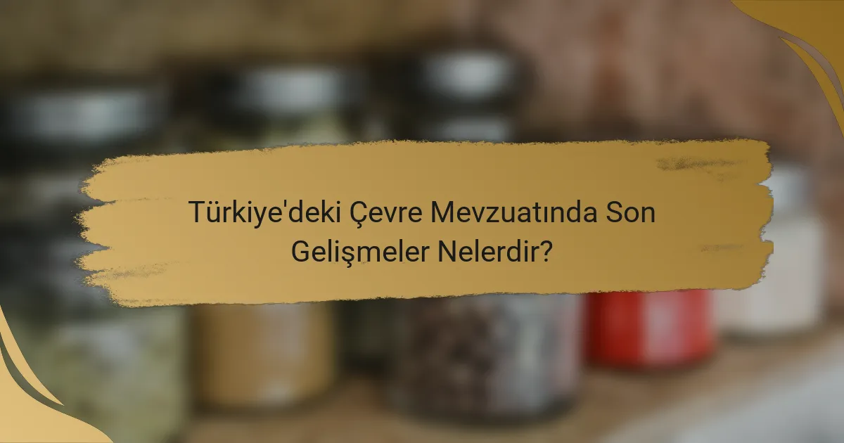 Türkiye'deki Çevre Mevzuatında Son Gelişmeler Nelerdir?