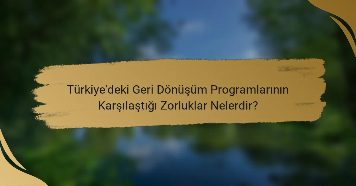 Türkiye'deki Geri Dönüşüm Programlarının Karşılaştığı Zorluklar Nelerdir?