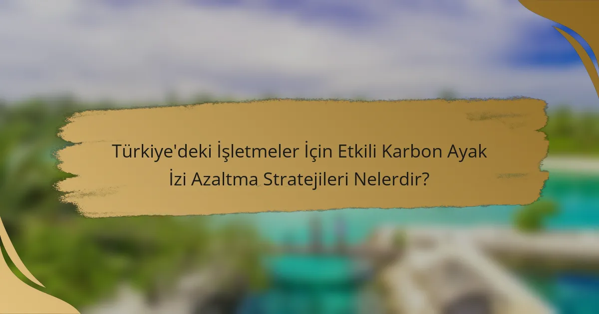 Türkiye'deki İşletmeler İçin Etkili Karbon Ayak İzi Azaltma Stratejileri Nelerdir?