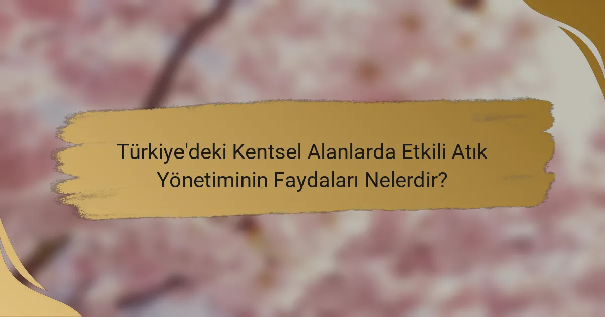 Türkiye'deki Kentsel Alanlarda Etkili Atık Yönetiminin Faydaları Nelerdir?