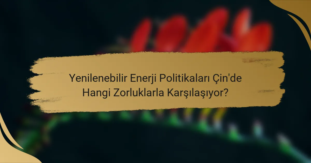 Yenilenebilir Enerji Politikaları Çin'de Hangi Zorluklarla Karşılaşıyor?